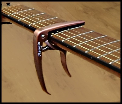 guitar capo